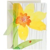 Daffodil Joy