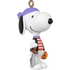 Mini Pirate Snoopy