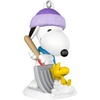 2025 Winter Fun with Snoopy