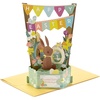 Pop Up  Easter Bunny
