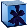 Navy Blue Glitter