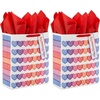 1 Count (Pack of 2)