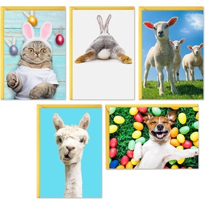 Hallmark Easter Cards Assortment, 5 Cards with Envelopes (Dog, Cat, Llama, Lambs, Bunny)(Yellow)