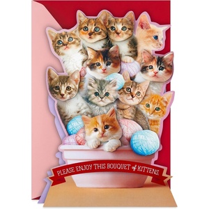 Hallmark Funny Valentine’s Day Card (Bouquet of Kittens)(Bouquet of Kittens)