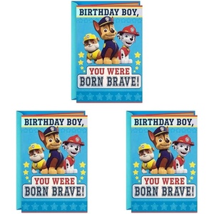 Hallmark Paw Patrol Birthday Card for Boys (Born Brave)(Pack of 3)