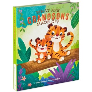 Hallmark Recordable Book for Children (What are Grandsons Made of?) Easter Basket Stuffers(What Are Grandsons Made Of?)
