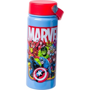 Silver Buffalo Rainbow Brite Stainless Steel Water Bottle with Swivel Handle, 20 Ounces(Avengers)