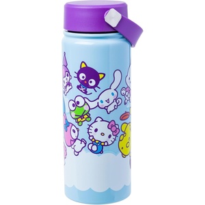 Silver Buffalo Rainbow Brite Stainless Steel Water Bottle with Swivel Handle, 20 Ounces(Hello Kitty and Friends)