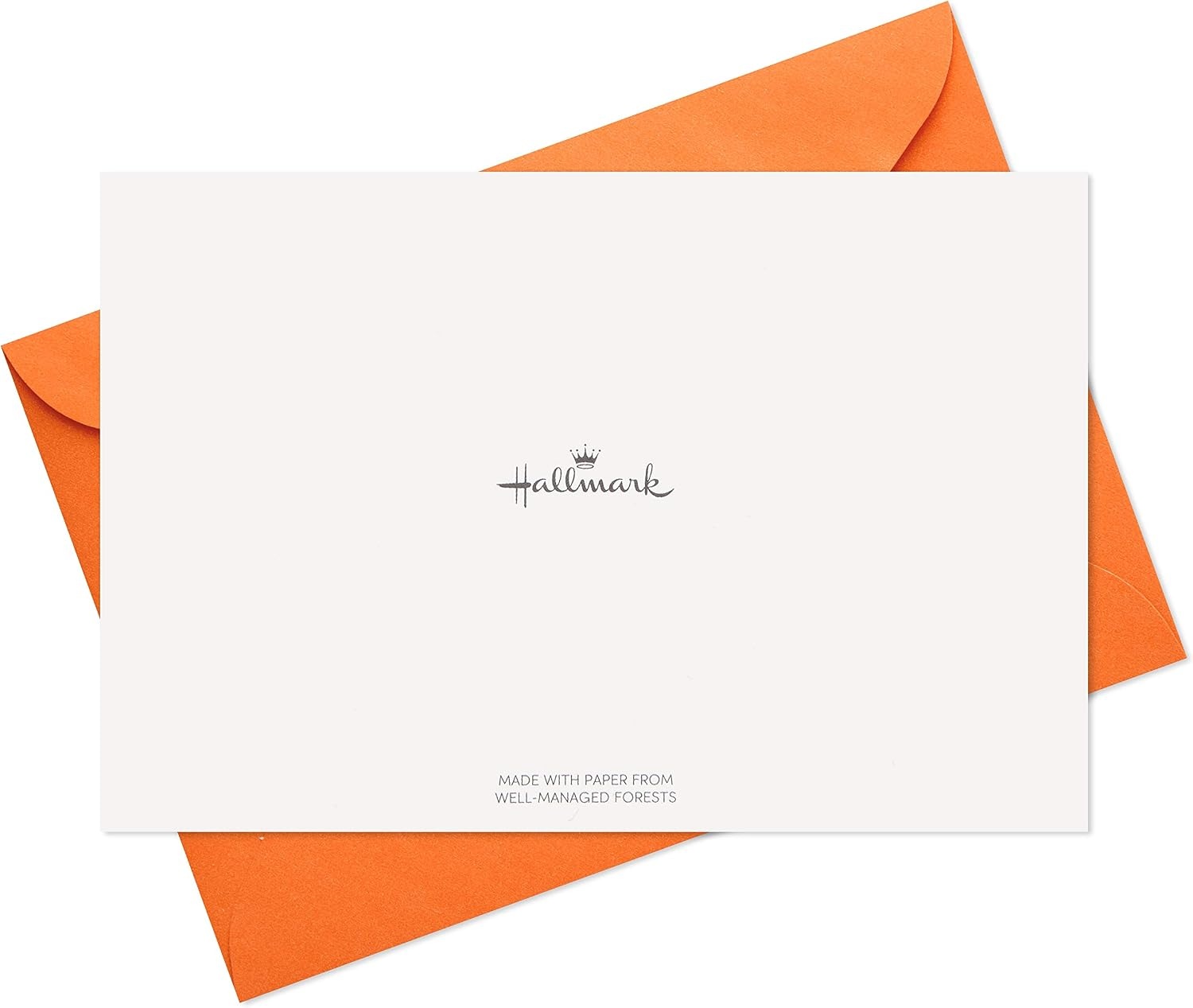 image:imageHallmark Birthday Cards Assortment 36 Cards with Envelopes Bright Birthday WishesMulticolorAssorted