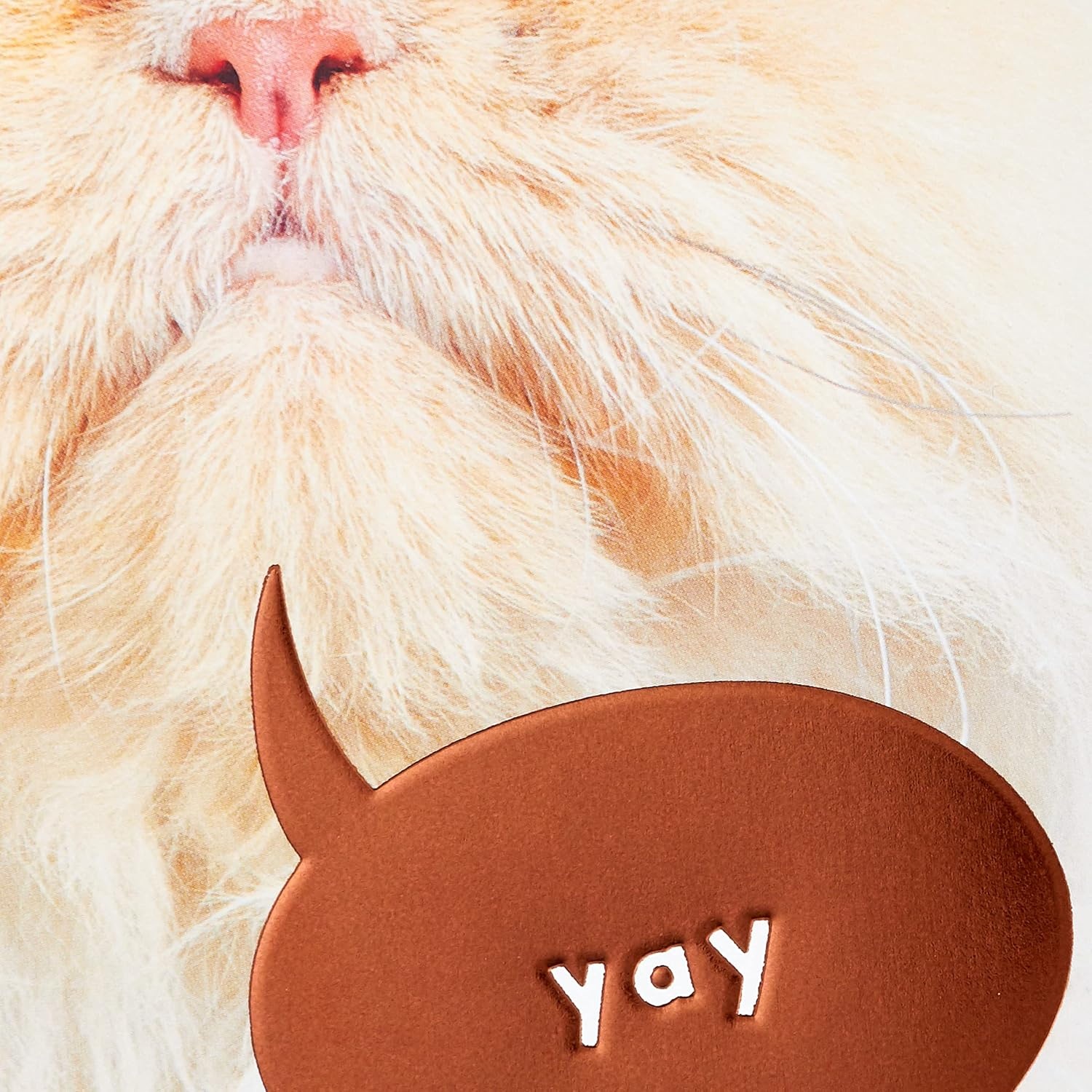 image:imageHallmark Cat Mom Card from Cat Glad I Adopted You for Mothers Day Birthday Kitten Adoption DayBrown