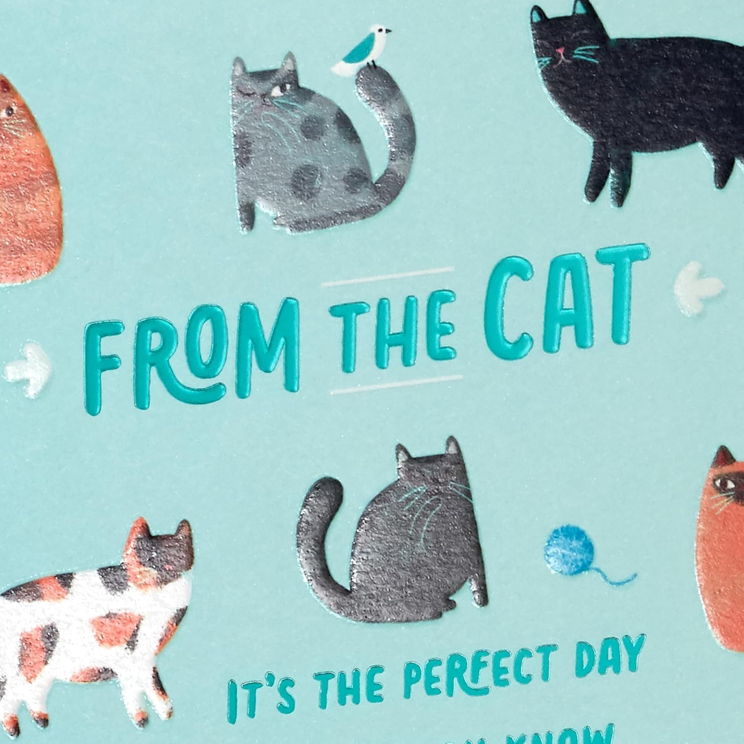 image:imageHallmark Cat Mom Card from Cat Glad I Adopted You for Mothers Day Birthday Kitten Adoption DayTeal
