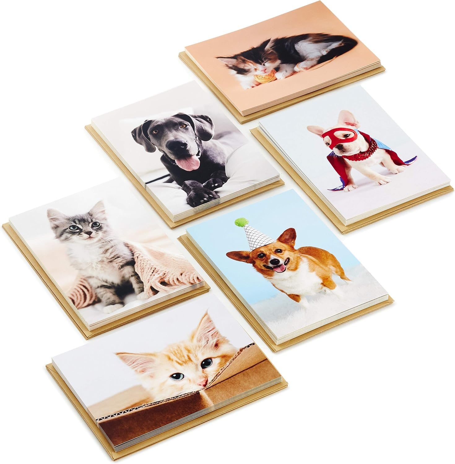 image:imageHallmark Graduation Cards Bulk Assortment Celebrate 36 Cards and Envelopes 6 DesignsMulticolorAssorted