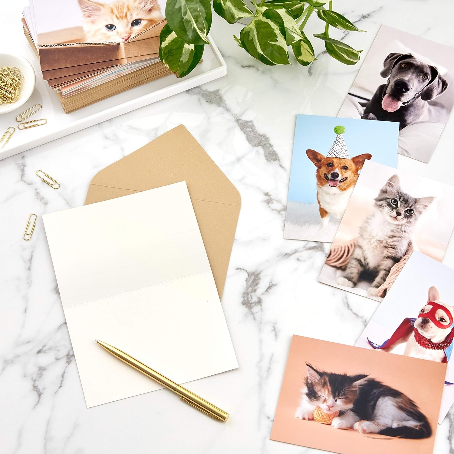 image:imageHallmark Graduation Cards Bulk Assortment Celebrate 36 Cards and Envelopes 6 DesignsMulticolorAssorted