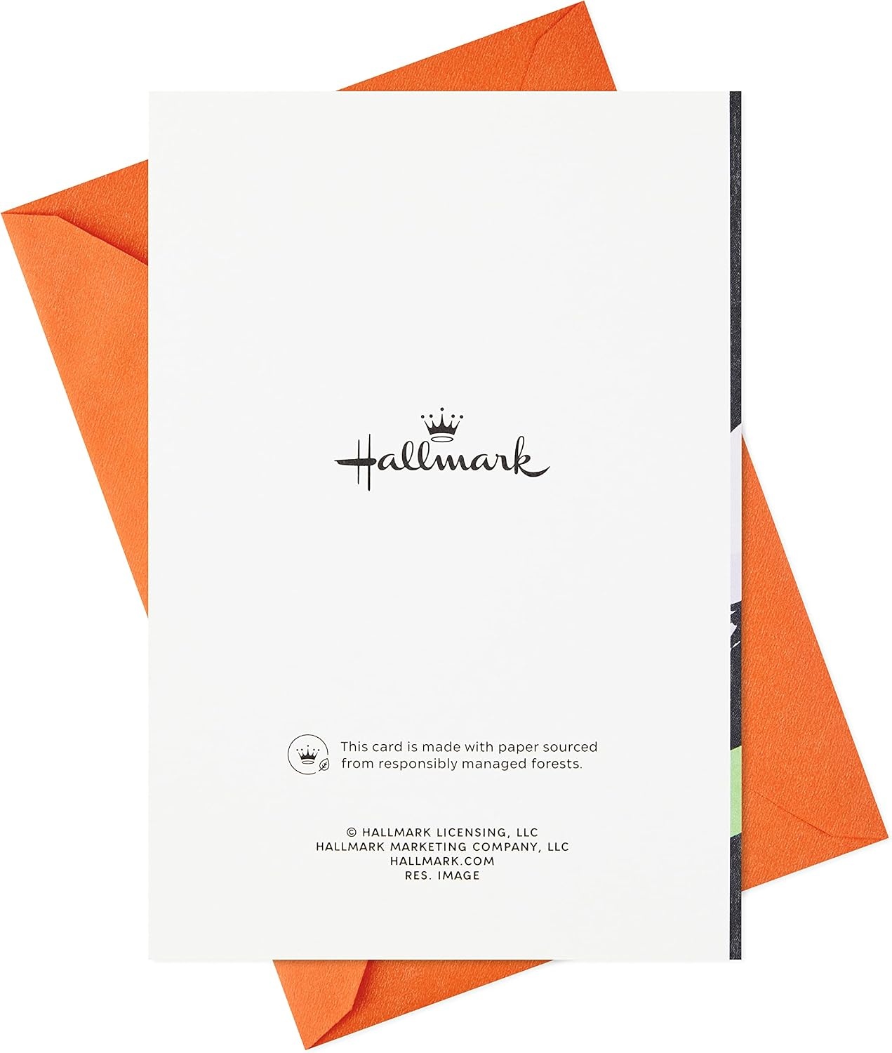 image:imageHallmark Hocus Pocus Pack of Halloween Cards Sanderson Sisters 4 Cards with EnvelopesCocktails and Ghosts 6 Cards