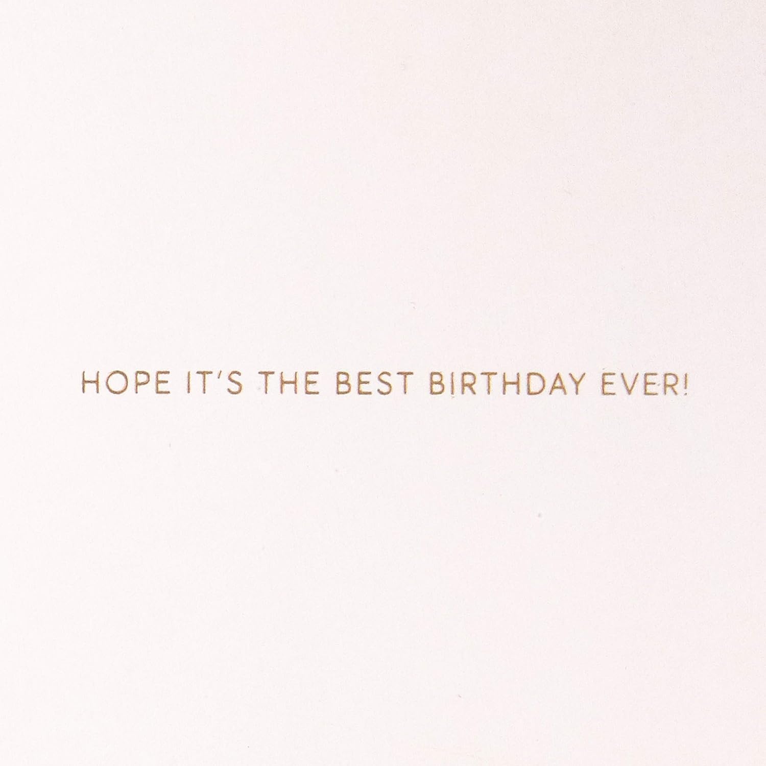 image:imageHallmark Signature Birthday Card Big Birthday WishesBig Birthday Wishes