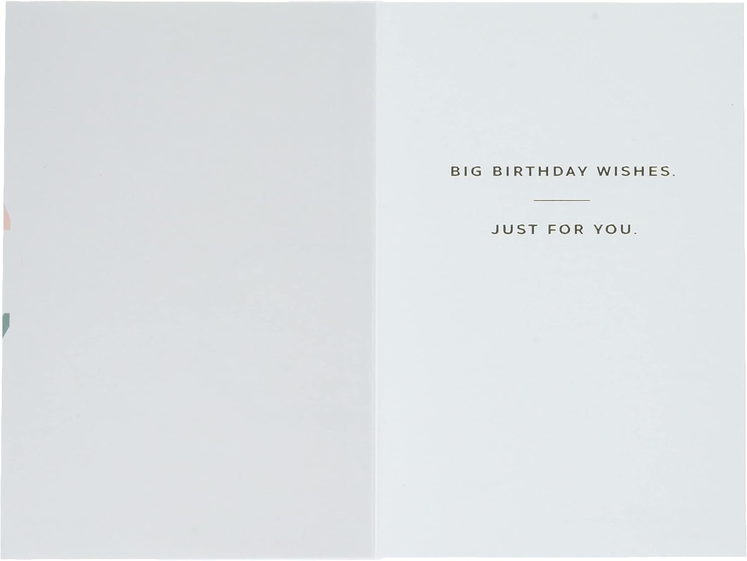 image:imageHallmark Signature Birthday Card Big Birthday WishesBig Birthday Wishes