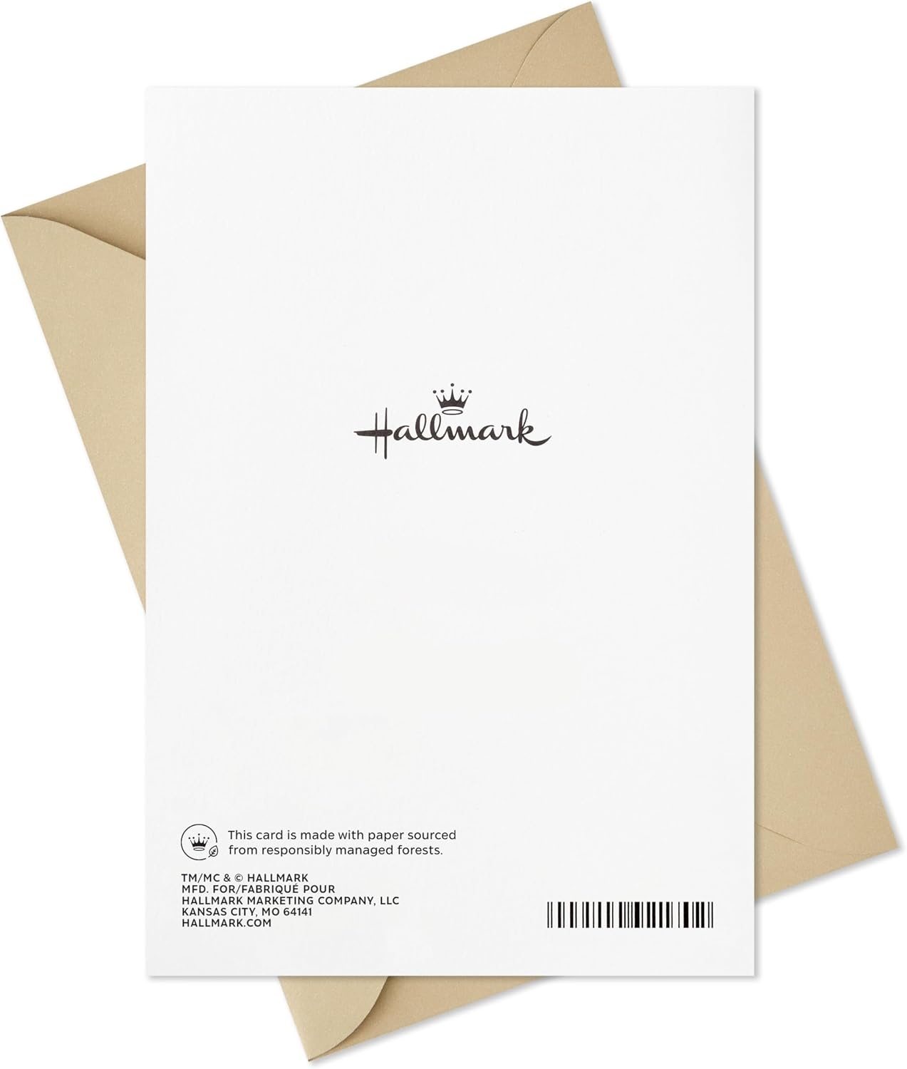 image:imageHallmark Sympathy Card for Anniversary of Death Caring Thoughts Never Stopped for Widow Widower Friendblue peach purple