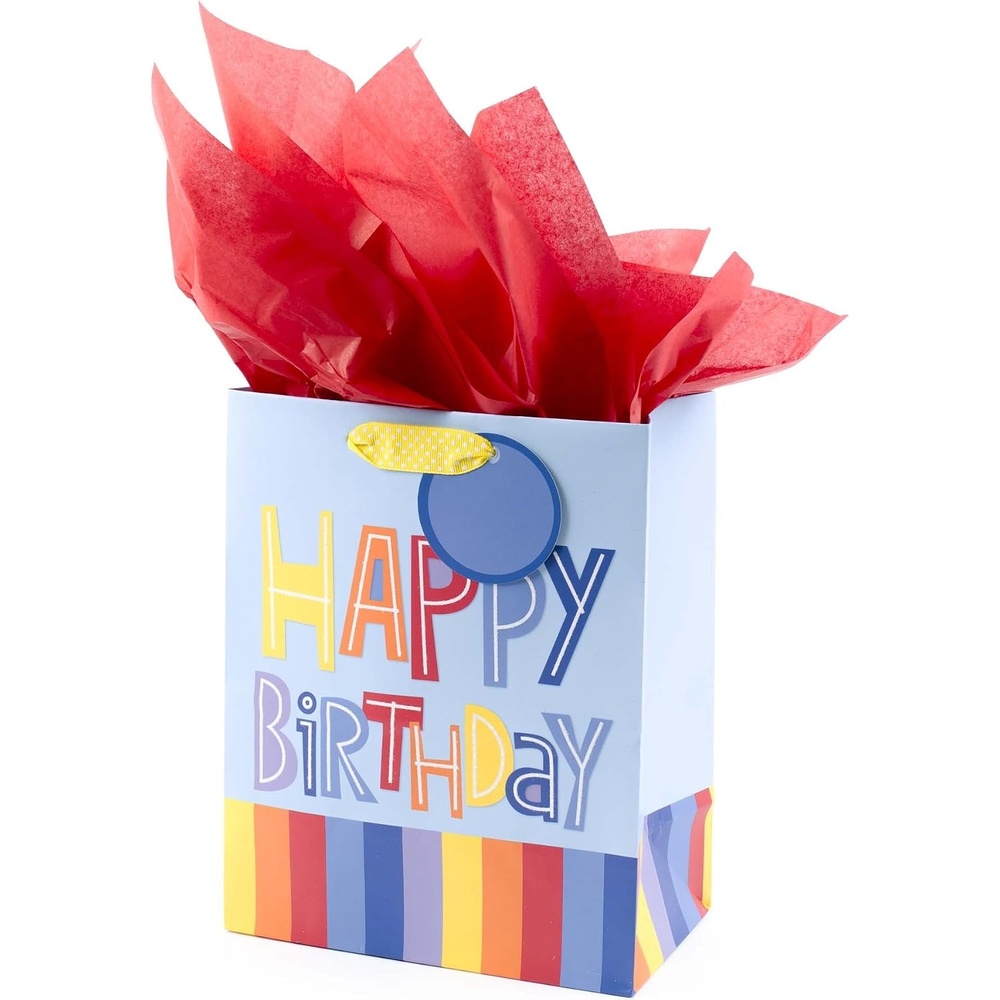 image:imageHallmark 9 Medium Gift Bag with Tissue Paper Happy Birthday Rainbow Stripes on Light Blue1 count Pack of 1