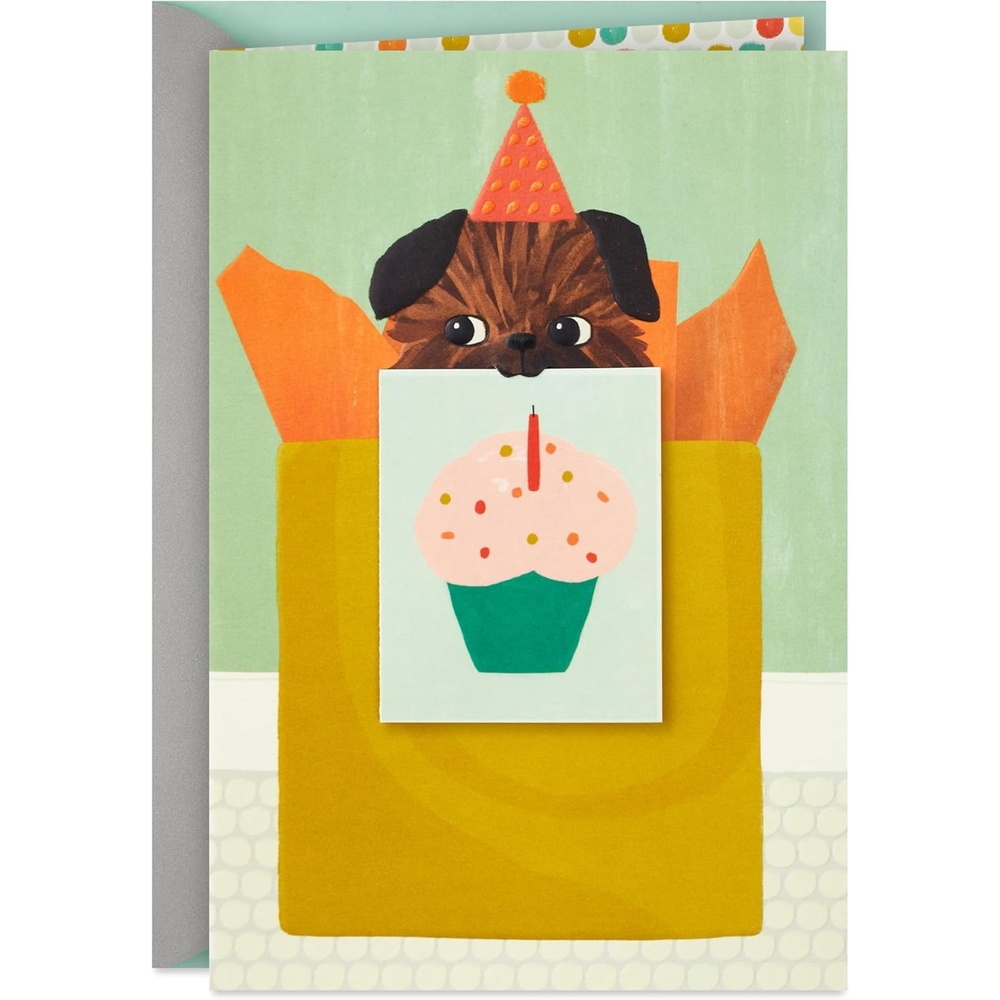 image:imageHallmark Birthday Card Envelope with Confetti  High Quality PaperGreen