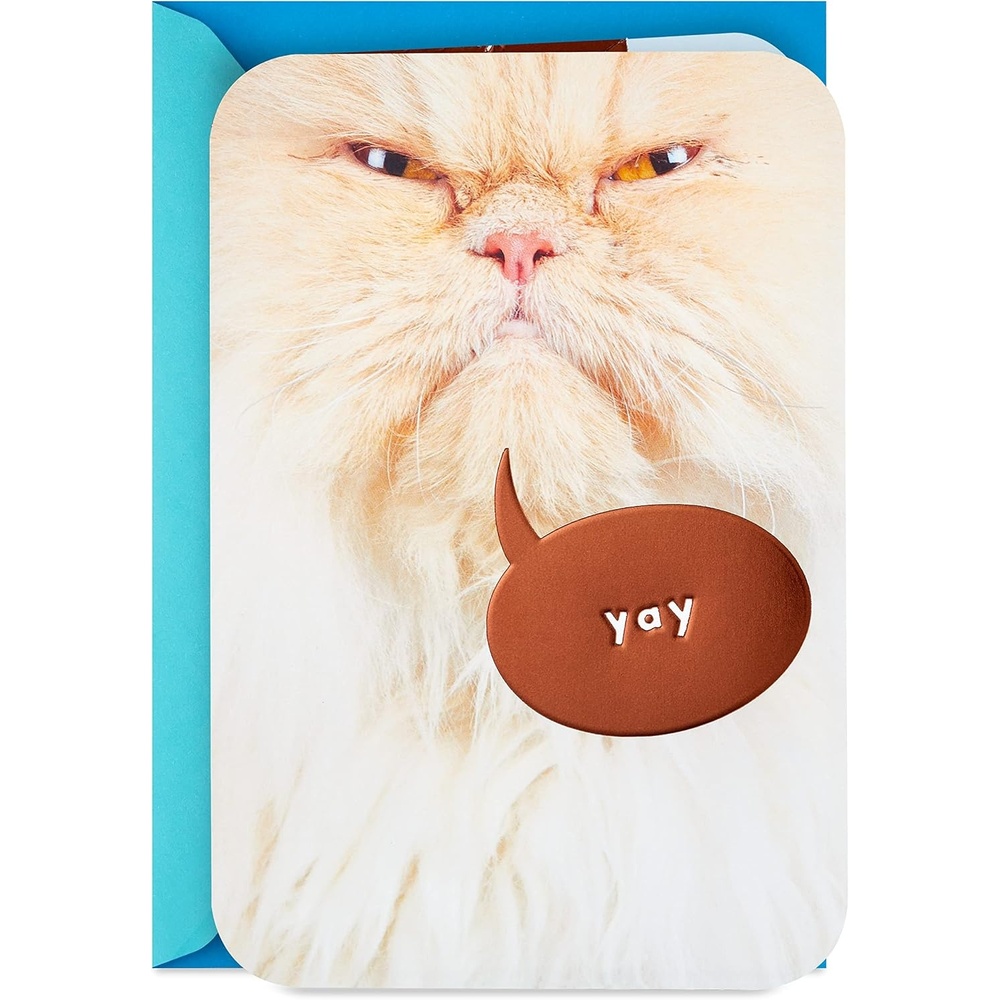 image:imageHallmark Cat Mom Card from Cat Glad I Adopted You for Mothers Day Birthday Kitten Adoption DayBrown
