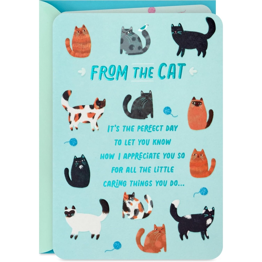 image:imageHallmark Cat Mom Card from Cat Glad I Adopted You for Mothers Day Birthday Kitten Adoption DayTeal