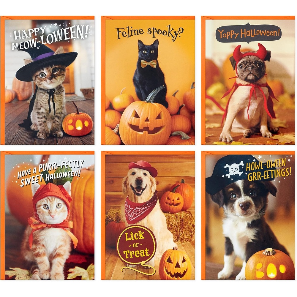 image:imageHallmark Halloween Cards Assortment Pet Puns 48 Cards with EnvelopesHalloween Punny Pets Card Assortment
