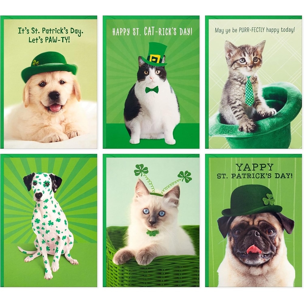 image:imageHallmark Halloween Cards Assortment Pet Puns 48 Cards with EnvelopesSt Patricks Day Punny Pets Card Assortment