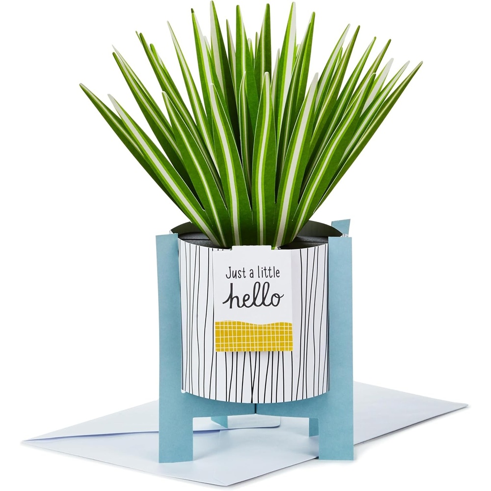 image:imageHallmark Paper Wonder Mothers Day Pop Up Card Potted Spider Plant for Nures Day Admin Professional Day Any Occasion