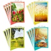 Sympathy Cards