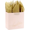 1 Count (Pack of 1)