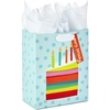 3 count (Pack of 1)