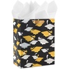 1 count (Pack of 1)