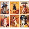Halloween Punny Pets Card Assortment