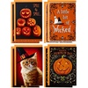 Wicked Cat and Pumpkins