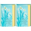 5 inches x 7.2 inches (Pack of 2)