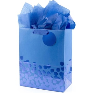 Hallmark 9″ Medium Gift Bag with Tissue Paper (Blue Foil Stripes) for Hanukkah, Christmas, Father’s Day, Graduations, Birthdays, Baby Showers and Weddings(1 Count (Pack of 1))