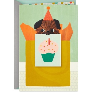 Hallmark Birthday Card (Envelope with Confetti). | High Quality Paper(Green)
