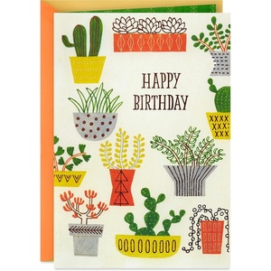 Hallmark Birthday Card (Envelope with Confetti). | High Quality Paper(Multicolor)