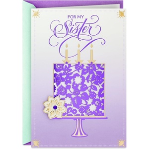 Hallmark Birthday Card for Brother (So Thankful)(So Glad We’re Family)
