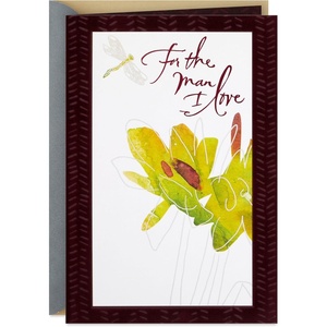 Hallmark Birthday Card for Husband or Boyfriend (A Gift Every Day)(Man I Love)