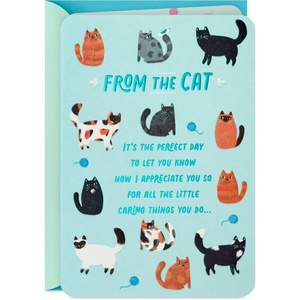 Hallmark Cat Mom Card from Cat (Glad I Adopted You) for Mother’s Day, Birthday, Kitten Adoption Day(Teal)