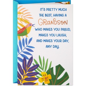 Hallmark Father’s Day Card for Grandson (Tropical Leaves with Bird) Birthday Card for Him from Grandma, Grandpa, Graduation, Congratulations