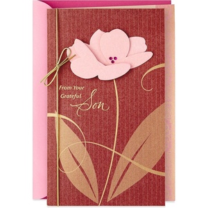 Hallmark Mother’s Day Card from Son (Appreciation from a Grateful Son)