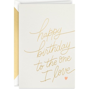 Hallmark Signature Birthday Card for Husband, Wife, Boyfriend, Girlfriend (One I Love)(One I Love)