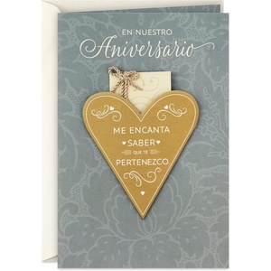 Hallmark Vida Spanish Anniversary Card (En Nuestro Aniversario) for Husband, Wife, Esposo, Esposa