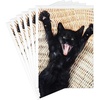 Black Cat