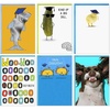 Funny Assortment  6 Cards